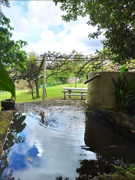 Villa A Vina De Lina. Turismo Rural Con Piscina Y Finca. Pontevedra Exterior foto