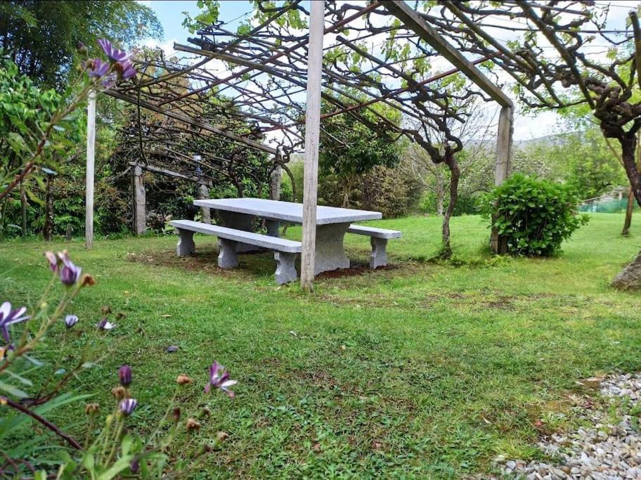 Villa A Vina De Lina. Turismo Rural Con Piscina Y Finca. Pontevedra Exterior foto